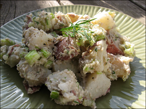 PotatoSalad_9526