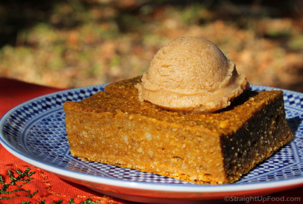 PumpkinSquareScoop_9406