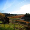 FallScenery