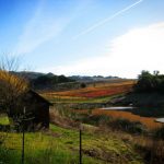 FallScenery